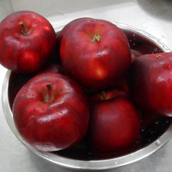 りんごづくし！通常の皮ごとリンゴジャムに、紅の夢りんご、長野の青りんご 5枚目の画像