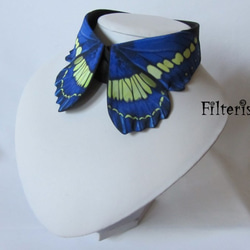 蝶々付け衿:キプリスモルフォ 1枚目の画像