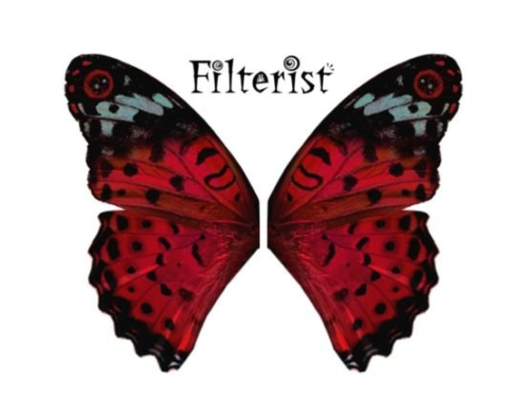 蝶々アンクレット:紅差しタテハ 3枚目の画像