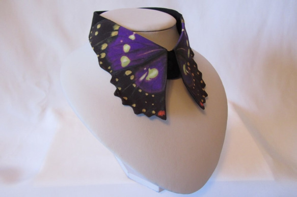 蝶々付け衿:オオムラサキ-国蝶- 3枚目の画像