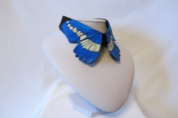蝶々付け衿:ヘレナモルフォ蝶-仮想- 3枚目の画像