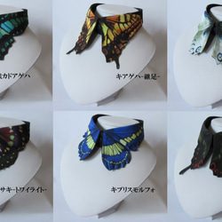 蝶々付け衿:オオムラサキ-トワイライト- 3枚目の画像