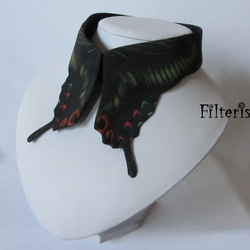蝶々付け衿:ミヤマカラスアゲハ 1枚目の画像
