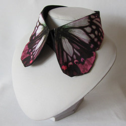 蝶々付け衿:アカボシゴマダラ春型春写 2枚目の画像