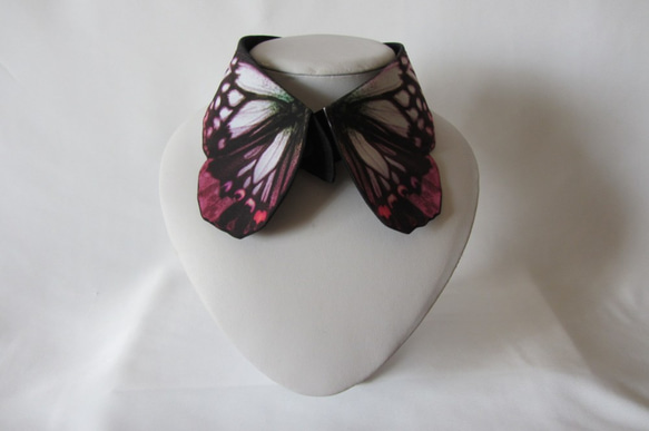 蝶々付け衿:アカボシゴマダラ春型春写 3枚目の画像