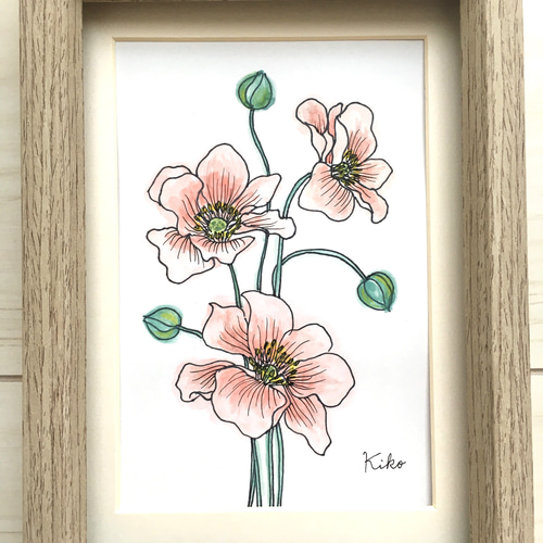 イラスト原画【額縁付き】アネモネの花と蕾 絵画 KIKO 通販 8664465