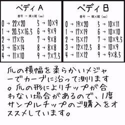 【オーロラスワロでキラキラ大人可愛い‼】秋冬おすすめ☆シースルーローズ 4枚目の画像