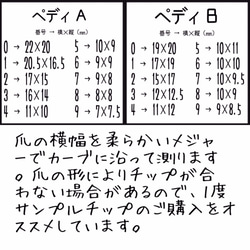 【ウェディングにオススメ♡】オーロラスワロのラメフレンチ 5枚目の画像