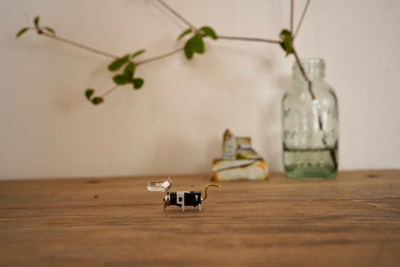 　前向きランプワン 1枚目の画像