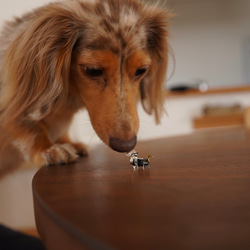 　前向きランプワン 3枚目の画像