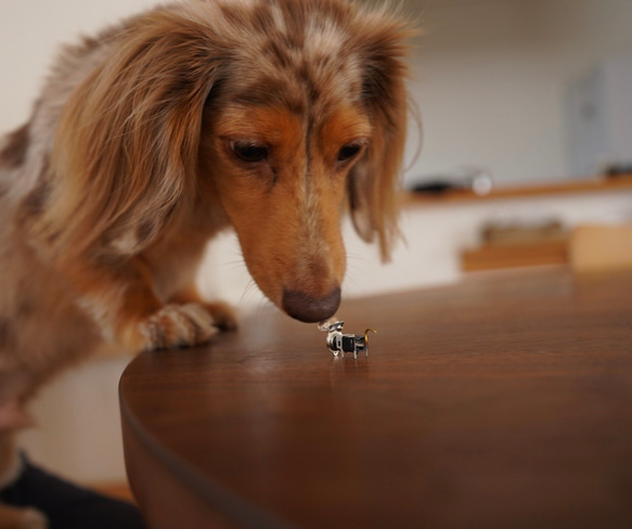 　前向きランプワン 3枚目の画像