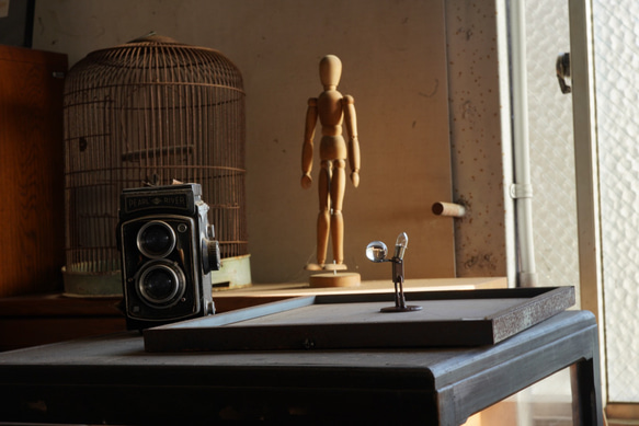 　「逆さま世界」 1枚目の画像