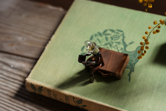 　「旅の途中」～読書～ 3枚目の画像