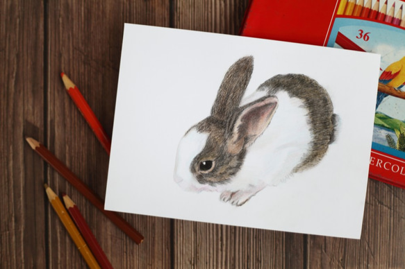 「唯想念」手工彩繪寵物肖像 彩色鉛筆 素描 第2張的照片