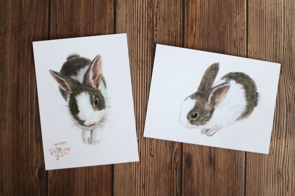 「唯想念」手工彩繪寵物肖像 彩色鉛筆 素描 第3張的照片