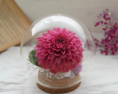 0_4ef40acff024e83c574174450060