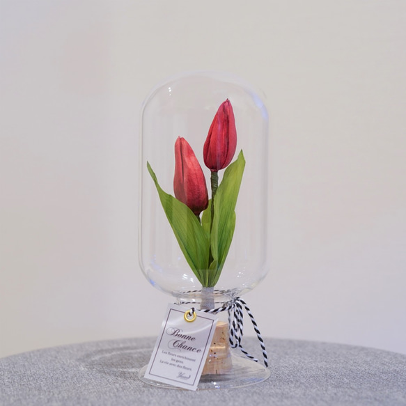 プリザーブドフラワーのチューリップBottle L（レッド） プリザーブド