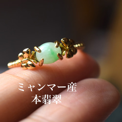 D125 特売 一点物 ミャンマー産 天然 白緑 A貨 本翡翠 硬玉 蝶々リング 指輪 フリーサイズ イエローゴールド 1枚目の画像