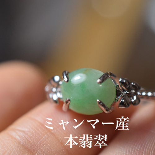 D145 特売 一点物 ミャンマー産 天然 三彩 A貨 本翡翠 硬玉 蝶々リング