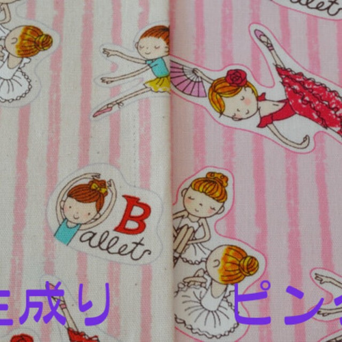 楽天市場】【Fairytoe リップ トウシューズケース 2824】バレエ