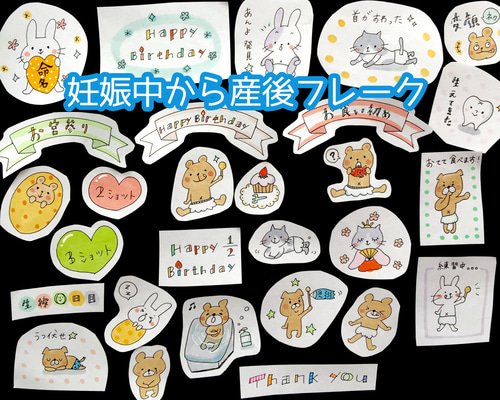 中期のたまごクラブ 2023年 夏号 (妊娠5・6・7カ月) | たまご