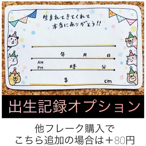 妊娠中から産後フレーク／エコー写真やお子様、赤ちゃんの育児