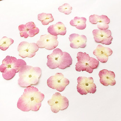 ふわふわpink〜Rich pink mix＊紫陽花／10枚セット 2枚目の画像