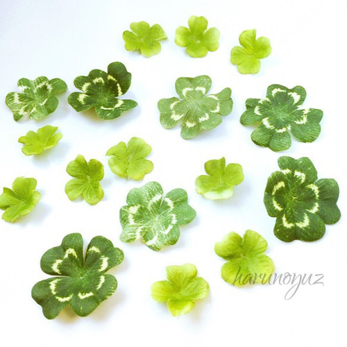【ハンドメイド】　四葉のクローバー it-6843b48ed57a8-1200.jpg