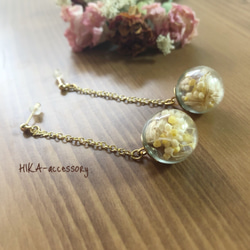 **flower×apricot pierce**  2点セット 【お得なセット】 3枚目の画像