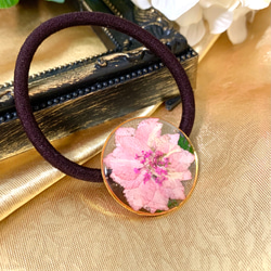 桜のヘアゴム レジン 春の花見 ドライフラワー ヘアゴム qui 通販