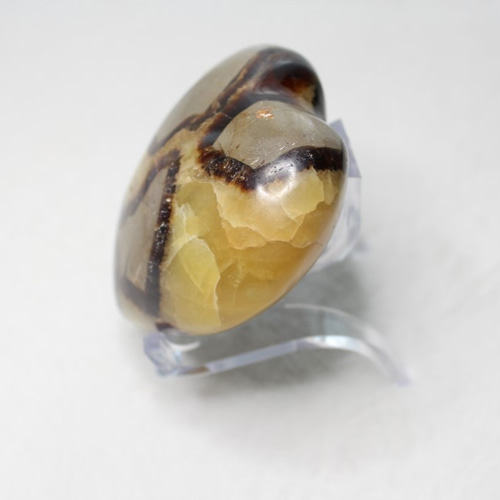 限定 セプタリアン ドラゴンストーン天然原石 亀甲石 天然石 Weng