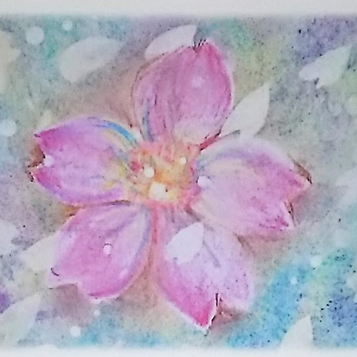 花のパステル画 A4サイズ 春の絵葉書 桜のポストカード3枚セット(パステルアート) ポスト