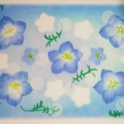 ポストカード4枚セット　ネモフィラ・桜・クローバー・花(蘭)　パステルアート絵葉書 2枚目の画像