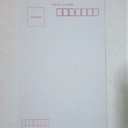 ポストカード4枚セット　ネモフィラ・桜・クローバー・花(蘭)　パステルアート絵葉書 5枚目の画像