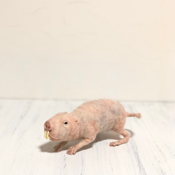 羊毛フェルト ハダカデバネズミさん 羊毛フェルト 餡子猫 通販