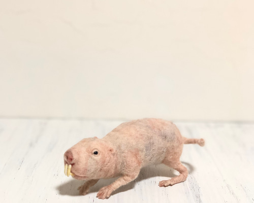 0_2ecc50749b04e2a8971c623882ee