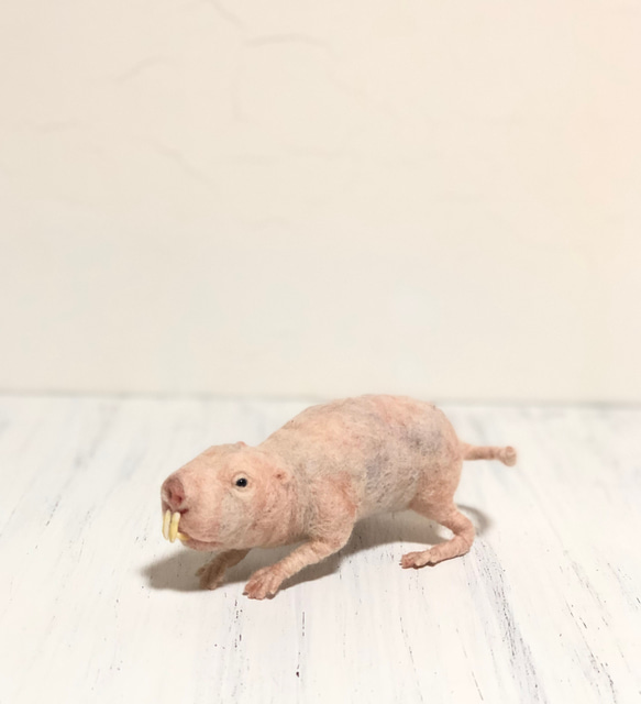 羊毛フェルト ハダカデバネズミさん 羊毛フェルト 餡子猫 通販