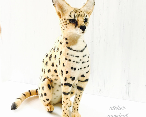 0_809098b710a3289fef2b5747e889