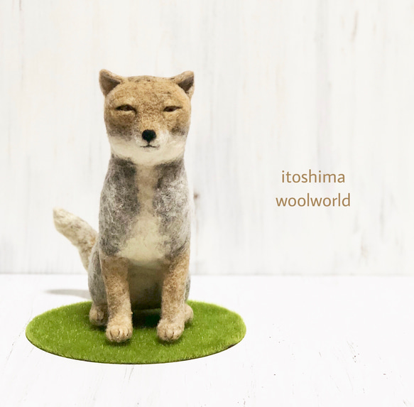 羊毛フェルト チベットスナギツネさん。。 羊毛フェルト 餡子猫