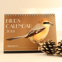 2019年卓上カレンダー「身近な鳥たち」 5枚目の画像