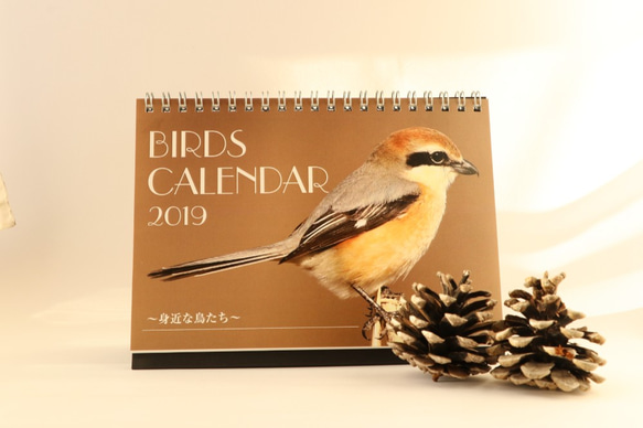 2019年卓上カレンダー「身近な鳥たち」 5枚目の画像