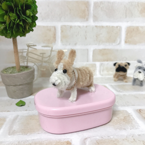 モールドール ミニチュアシュナウザー シュナウザー モール
