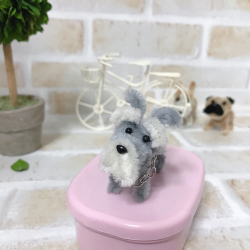 モールドール ミニチュアシュナウザー シュナウザー モール