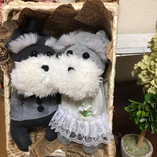 ✴︎オーダーメイド✴︎ ミニチュアシュナウザー ウェルカム