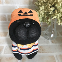 ポッケに手　かぼちゃの帽子をかぶった黒パグのぬいぐるみ 1枚目の画像