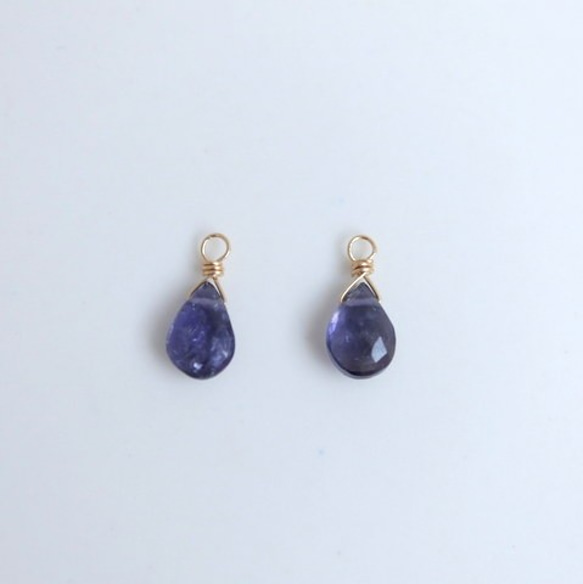 [14kgf] Iolite Charm（1對） 第2張的照片