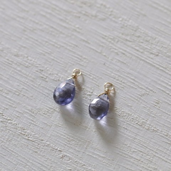 [14kgf] Iolite Charm（1對） 第1張的照片