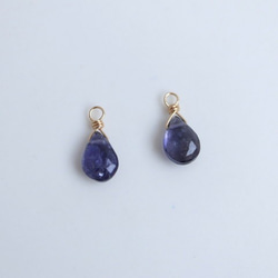 [14kgf] Iolite Charm（1對） 第3張的照片