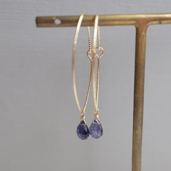 [14kgf] Iolite Charm（1對） 第8張的照片