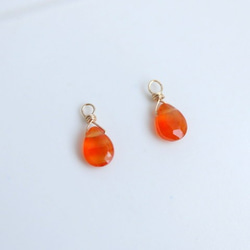 [14kgf] Carnelian Charm（1對） 第1張的照片